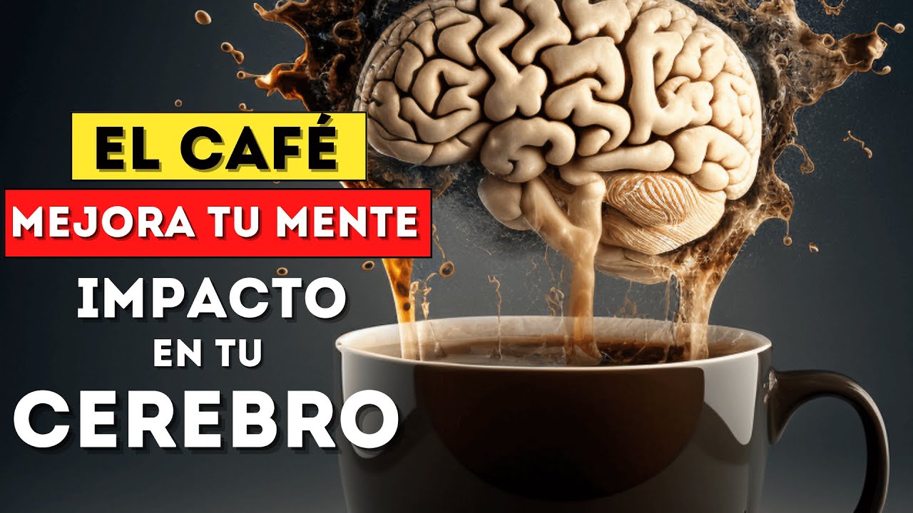 El impacto del café en el cerebro: descubre cómo nos afecta | LaTazadeCafe